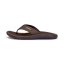 Žabky Noosa Brown