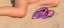 Žabky Duckbill Purple